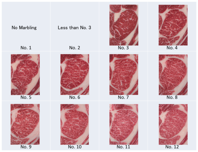 wagyu marbling scale ranging from 1 to 12, 12 being the most marbled.