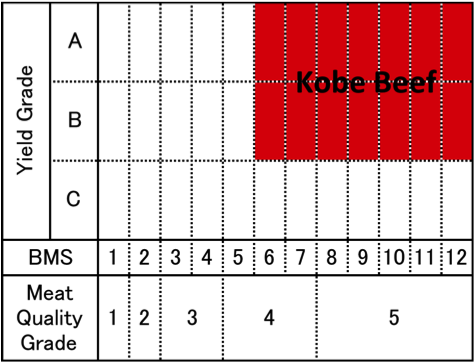 Kobe Mapping