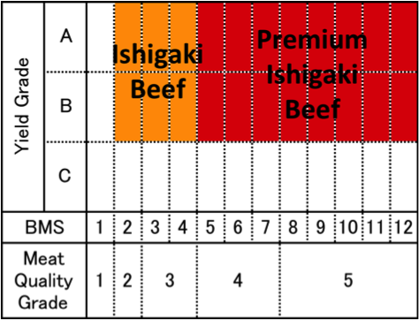 Ishigaki Mapping